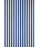 Closet Stripe ST 364