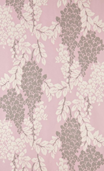 Wisteria BP 2209
