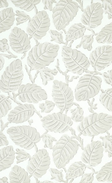 Beech Nut - Warm Grey