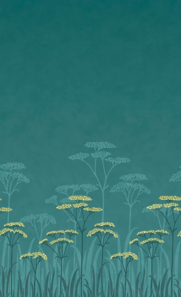 Achillea - Aurora