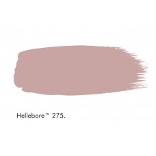 HELLEBORE 275