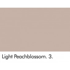 LIGHT PEACHBLOSSOM 3