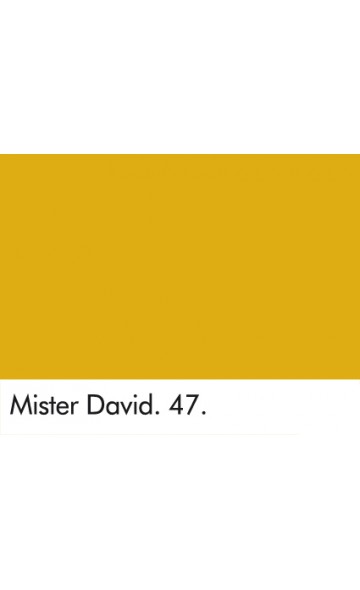 MISTER DAVID 47