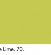 PALE LIME 70