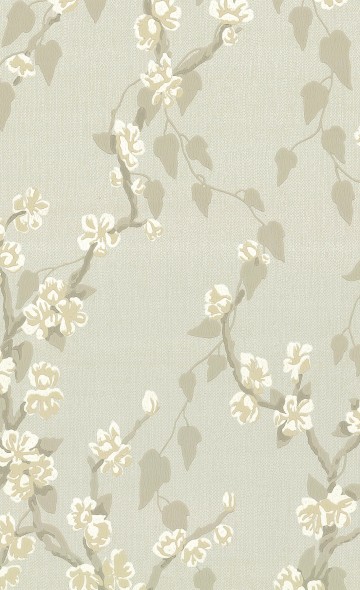 Sakura - Fawn