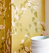 Sakura - Pomme