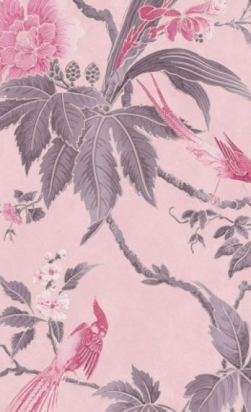 Paradise-Pink