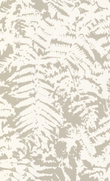 Fern - Gilver