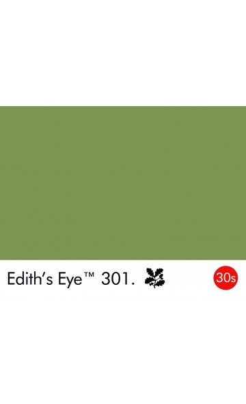 EDITH'S EYE 301
