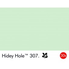 HIDEY HOLE 307