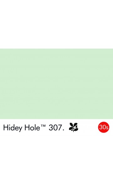 HIDEY HOLE 307