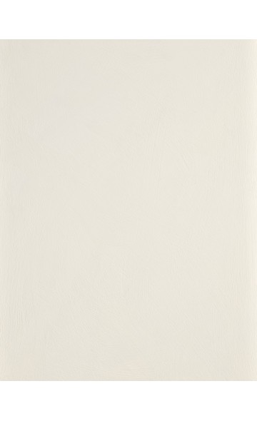 PORCELAIN WHITE (Lime paint)