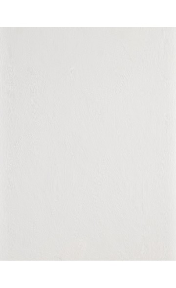 STILL WHITE (Lime paint)