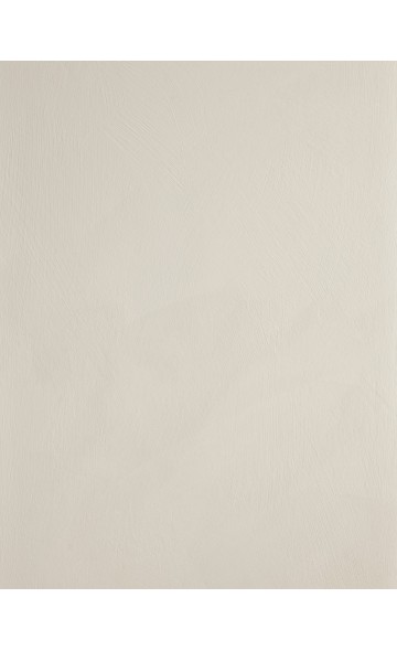 STONE DUST (Lime paint)