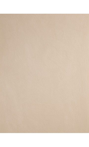 WEATHERED CEDAR (Lime paint)