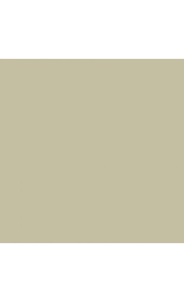 WATTLE V 565
