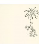Lighthouse Palm - Pentle