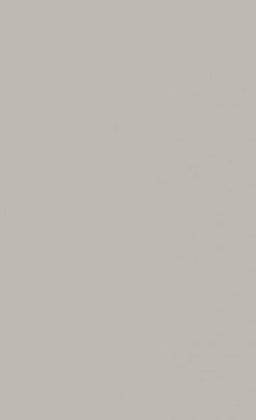 PAVILION GRAY 242