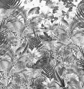 Amazonia