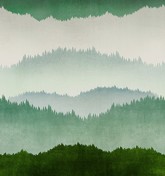 Estrada