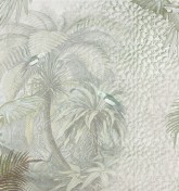 Arara