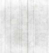 Velum