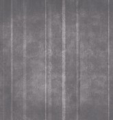 Velum