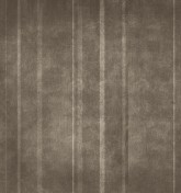 Velum